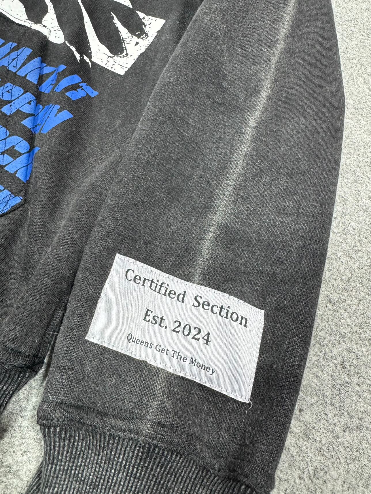Blue Lagoon CS 24 Hoodie